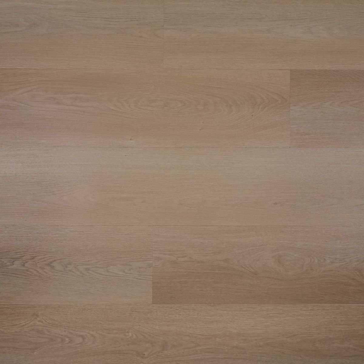 Seren plank - Afbeelding 2
