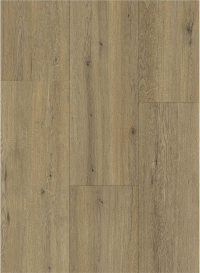 Momento 80631 Disentis Oak