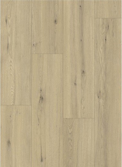 Momento 80641 Chur Oak